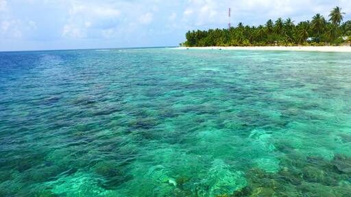Crystal clear water and beautiful coral all around the Maldives. Do yourself a favor and get in the water here! You will be astounded.