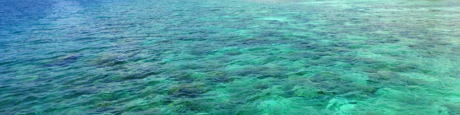 Crystal clear water and beautiful coral all around the Maldives. Do yourself a favor and get in the water here! You will be astounded.