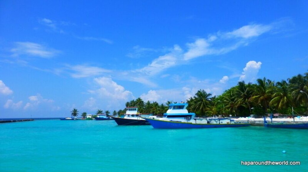 Island harbor for this small island. But what amazing water. It's really hard to believe that the color is natural but it is. We came here when we were island hopping. It was incredibly hot with lots of mosquitoes but this harbor was gorgeous!