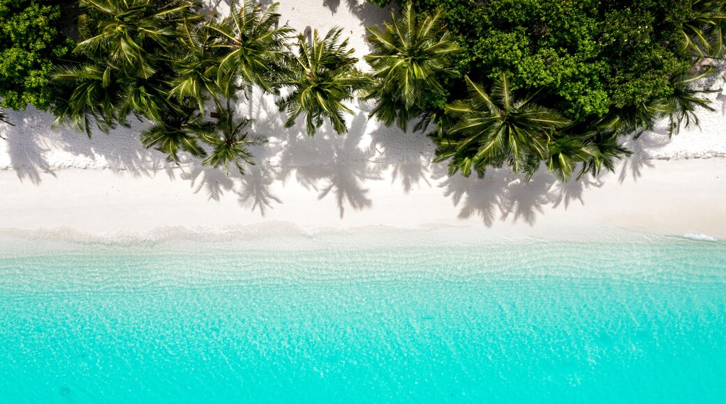 Aerial view of a beach, palms and ocean, Vashafaru, Haa Alif Atol, Maldives.