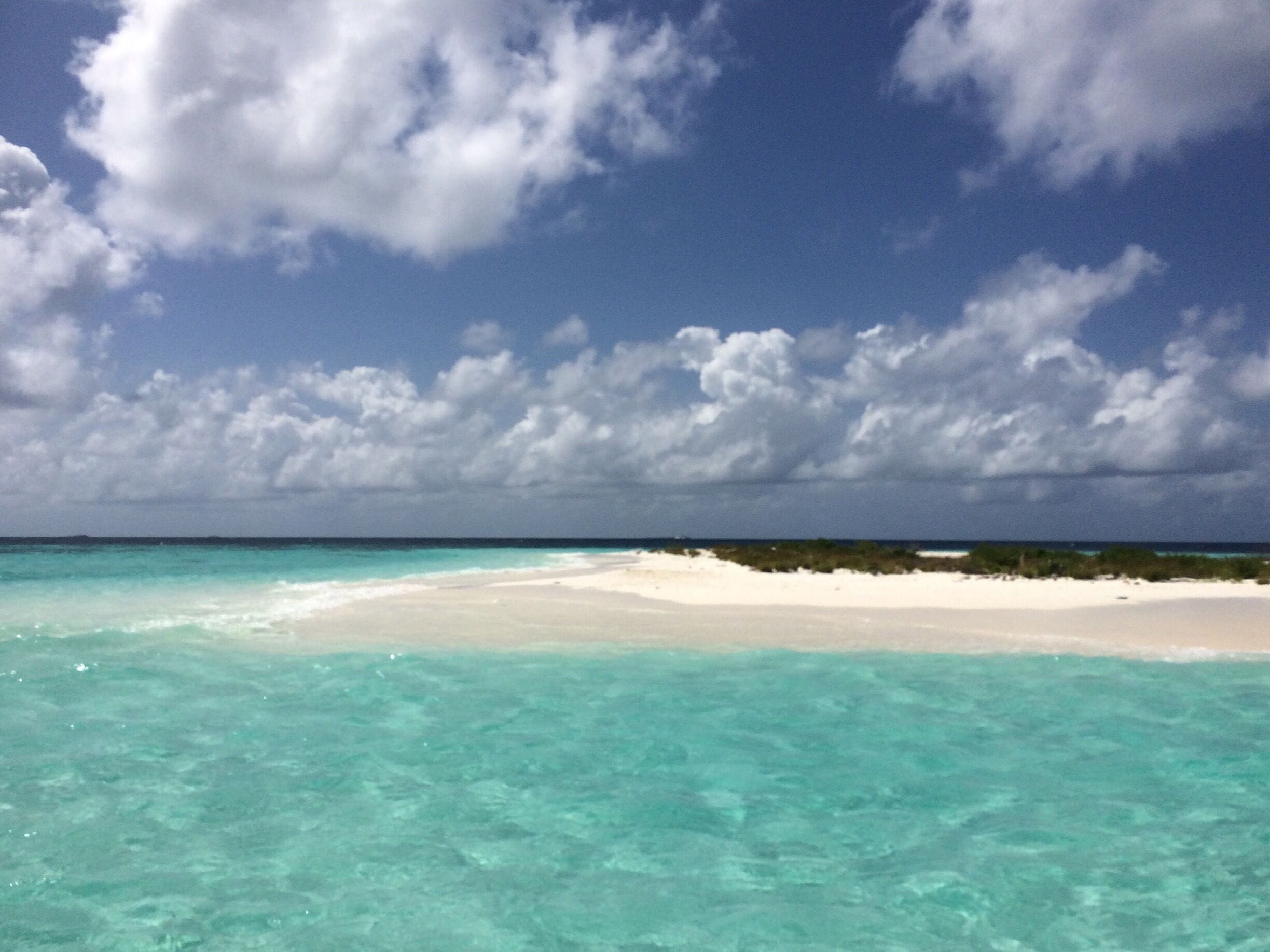 A ferry took us to this uninhabited island to enjoy the fine white sand and the sea - #Maldives
#travel
#waterscape #Hangnaameedhoo 