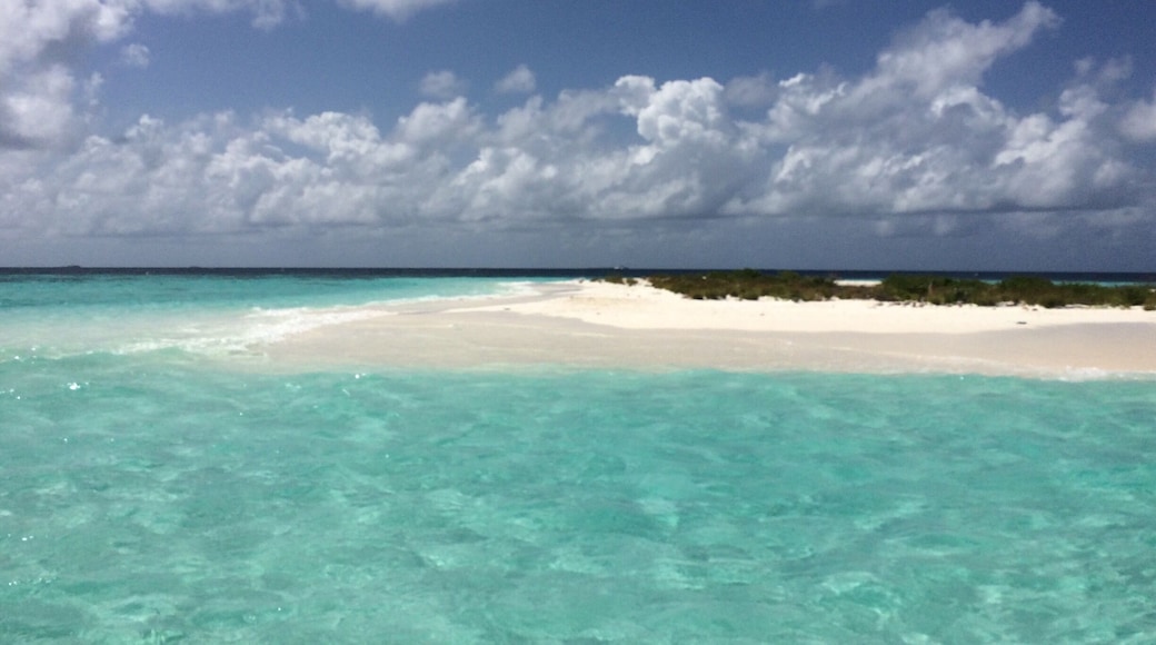 A ferry took us to this uninhabited island to enjoy the fine white sand and the sea - #Maldives
#travel
#waterscape #Hangnaameedhoo