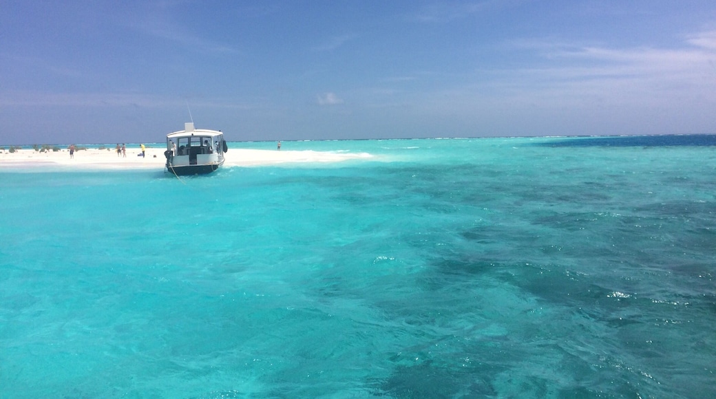 Day tour with lunch on a White Island !