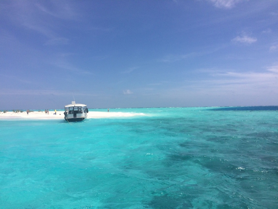 Day tour with lunch on a White Island !