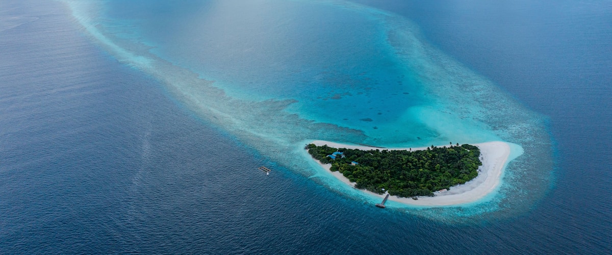 An aerial view of a turquoise atoll with clear waters and a small island with dense vegetation.