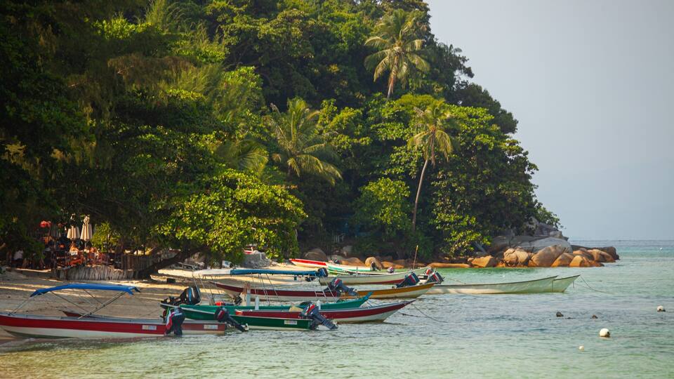 A beach with several boats docked near a rocky shore, surrounded by lush green trees and palm trees.