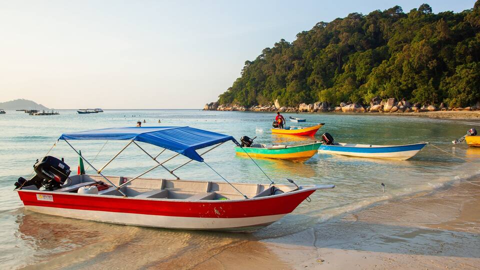 A beach with several small boats anchored near the shore, surrounded by a forested hillside.