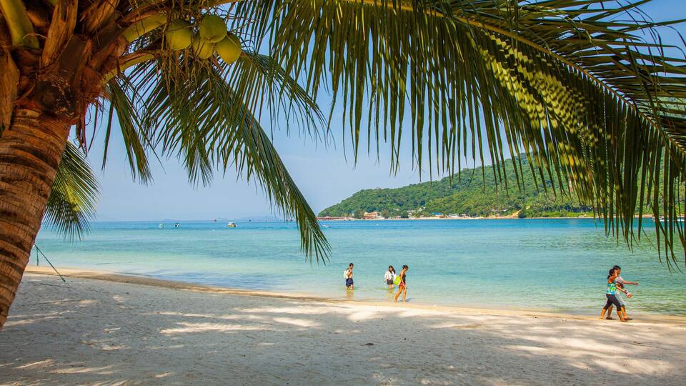 A beach with palm trees, clear blue water, and a distant hill.