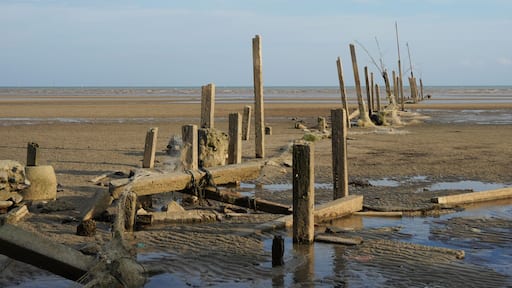Beautiful sunset view of Tanjung Sepat. Tanjung Sepat is a small and vibrant fishing village in Selangor.
