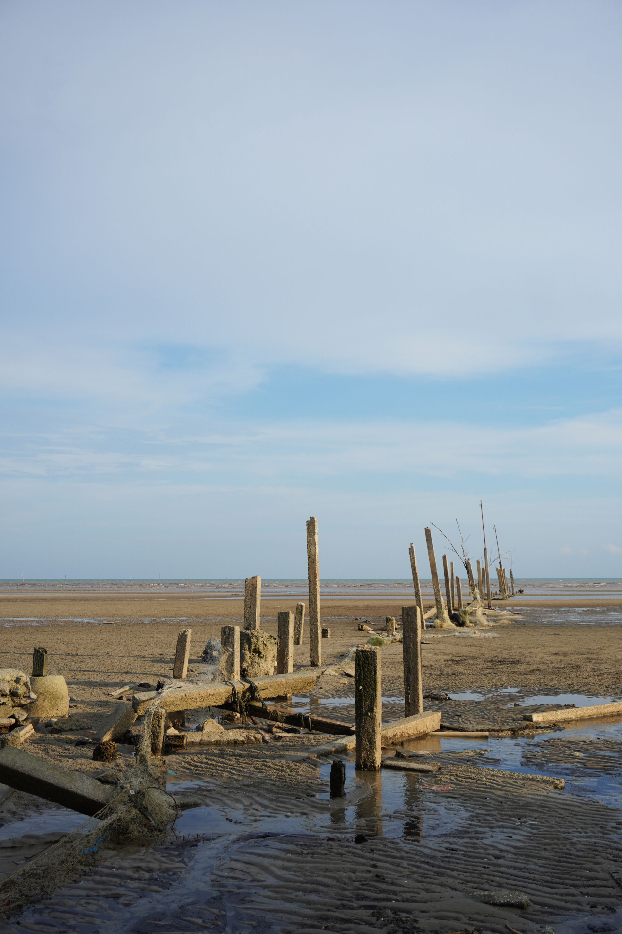 A beach with wooden posts and debris.