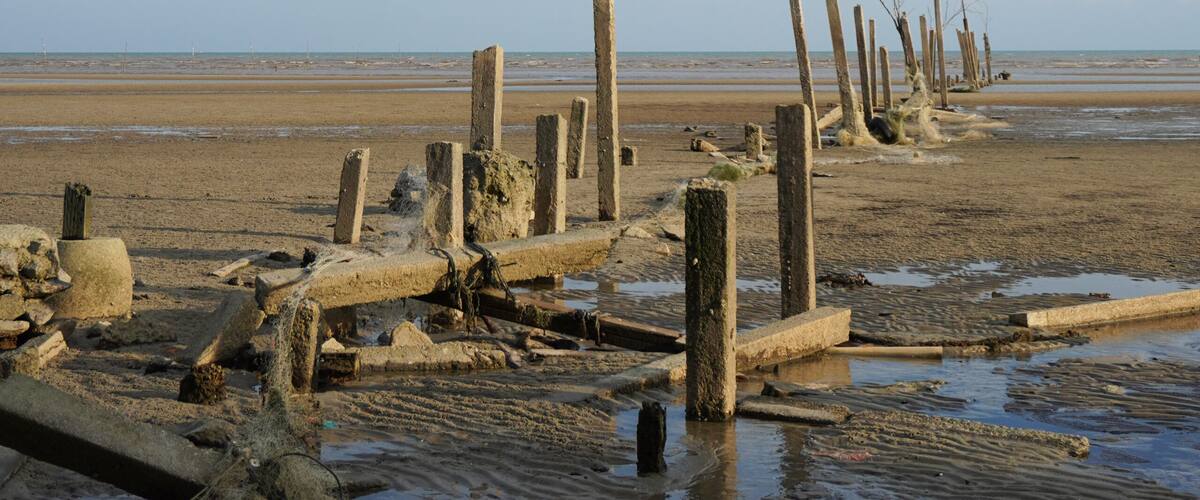 A beach with wooden posts and debris.