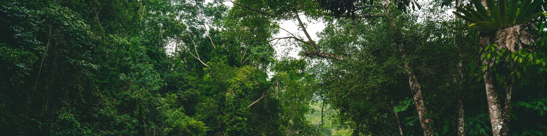 River flowing from upstream at Sungai Kampar, Gopeng, Perak.