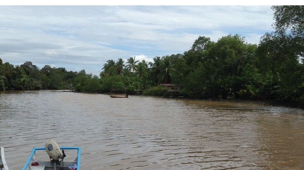 Feeling adventurous? Take a boat and explore the riverine or the sandy beaches around this place.