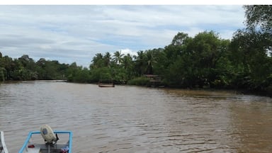 A calm river with several small boats docked along the shore.