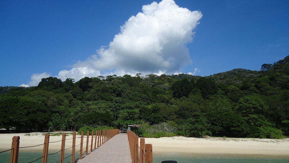 Un pont de bois mène à une plage bordée d’une eau turquoise et limpide, avec une colline boisée en arrière-plan.