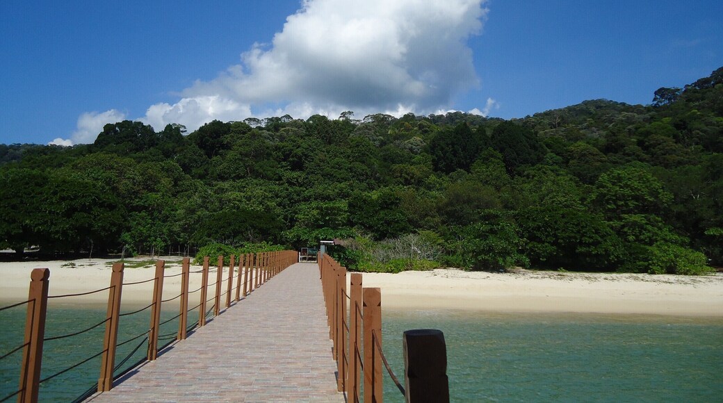 Penang National Park is incredibly beautiful and a great place to take a hike. The reward is finding yourself on a fairly secluded beach where you can unwind and take a dip. Malaysia does a pretty good job with their national parks - keeping them mostly undeveloped and so forth. We hiked from the park entrance to Turtle beach and ended up catching a boat back rather than hiking back. By taking the boat, we were able to enjoy seeing the remote coastal areas of the park where trails do not go. Tip: wear real shoes and not flip-flops. It is a hike after all. (not that we would have made that mistake, right?)