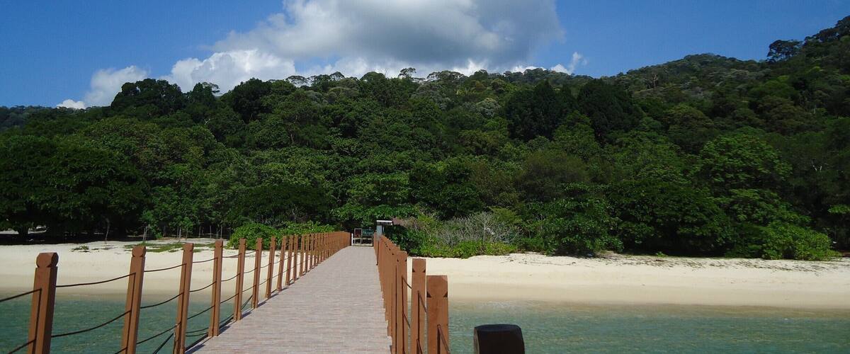 A wooden bridge leading to a beach with clear turquoise water and a forested hill in the background.