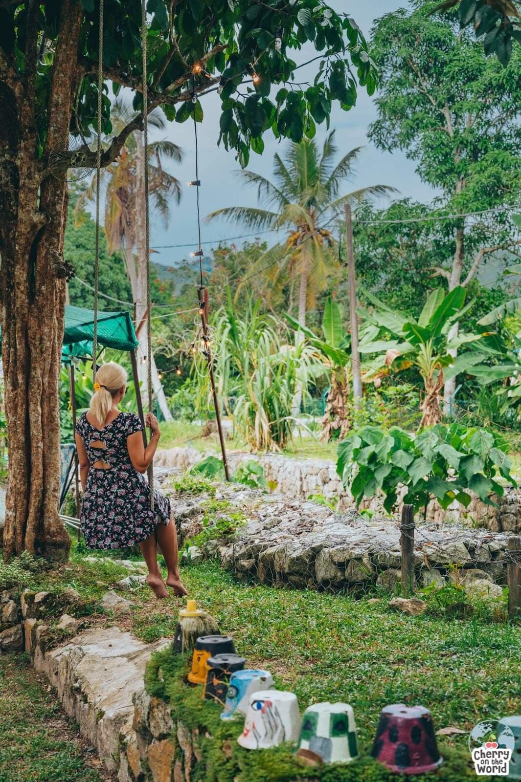 Swinging into Wednesday like...🌿
