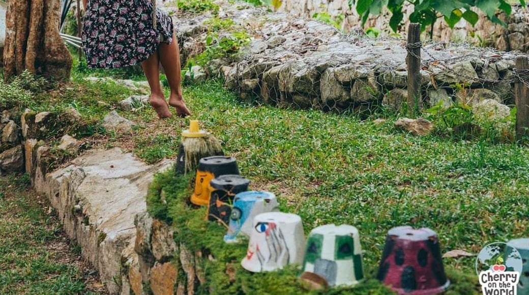 Swinging into Wednesday like...🌿