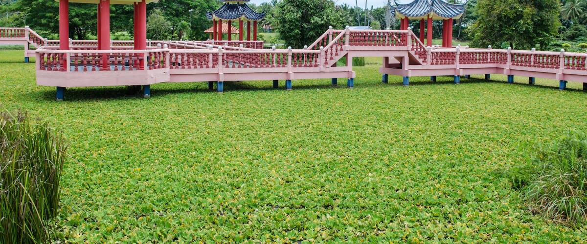 A traditional Chinese pavilion with a red roof and golden accents, surrounded by lush greenery and a clear sky.