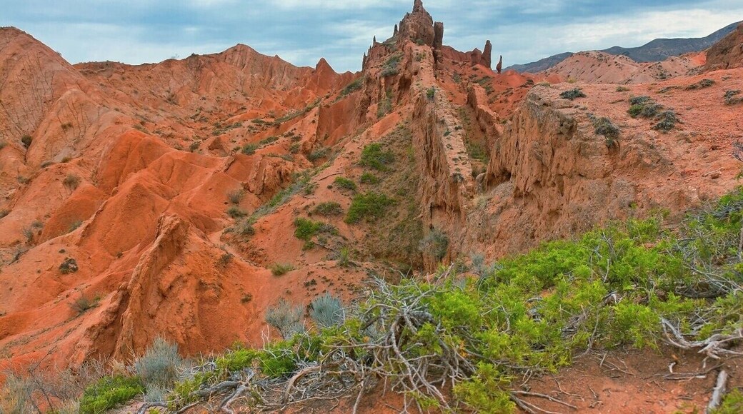 August 2013
Fairy tale canyon, Issyk-kul lake
Skazka (=Fairy tale) canyon on the south shore of Issyk-kul lake. It is located few kilometres from Tosor village and contains yellow, orange or red sandstone formations of various shapes resembling fairy tale dragons, giants or castles. This particular formation is called the Chinese wall from obvious reason. The origin is mostly from wind and rain erosion. The orange shades are contrasting with occassional shrubs of several kinds like sea buckthorn (Hippophae Rhamnoides).