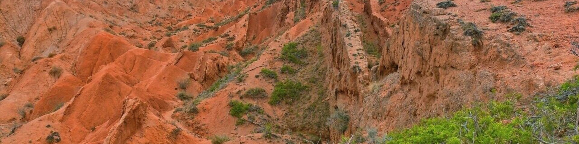 August 2013
Fairy tale canyon, Issyk-kul lake
Skazka (=Fairy tale) canyon on the south shore of Issyk-kul lake. It is located few kilometres from Tosor village and contains yellow, orange or red sandstone formations of various shapes resembling fairy tale dragons, giants or castles. This particular formation is called the Chinese wall from obvious reason. The origin is mostly from wind and rain erosion. The orange shades are contrasting with occassional shrubs of several kinds like sea buckthorn (Hippophae Rhamnoides).