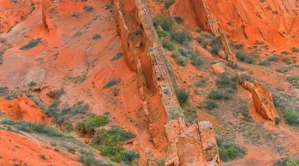 August 2013
Fairy tale canyon, Issyk-kul lake
Skazka (=Fairy tale) canyon on the south shore of Issyk-kul lake. It is located few kilometres from Tosor village and contains yellow, orange or red sandstone formations of various shapes resembling fairy tale dragons, giants or castles. This particular formation is called Chinese wall from obvious reason.