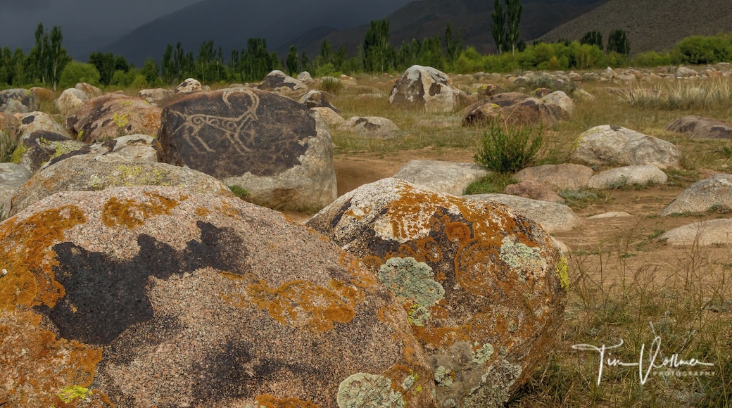 Just amazing ! Some of these petroglyphs date from the Bronze Age (about 1500 BC), but most ... lived in the settlements that are currently underwater in the Cholpon-Ata bay, Kyrgyzstan. Join my nex photo tour in June 2020.