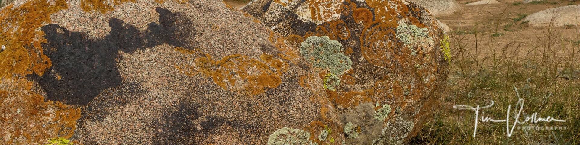 Just amazing ! Some of these petroglyphs date from the Bronze Age (about 1500 BC), but most ... lived in the settlements that are currently underwater in the Cholpon-Ata bay, Kyrgyzstan. Join my nex photo tour in June 2020.