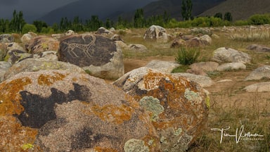 A rocky landscape with large boulders covered in lichen, a grassy field, and distant mountains under a cloudy sky.