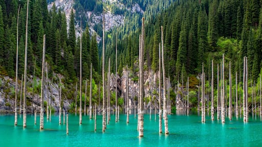 Lake Kaindy sunken forest in Kazakhstan. Beautiful mountain nature landscape. Blue lake Kolsai top view. Panoramic view of the nature reserve.