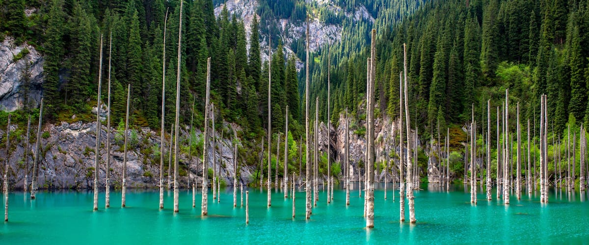 A forest with tall, dead trees standing in a turquoise lake surrounded by dense green forest and rocky cliffs.