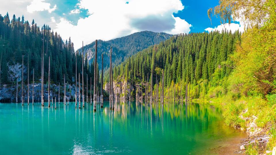 A turquoise lake surrounded by dense forest and mountains.