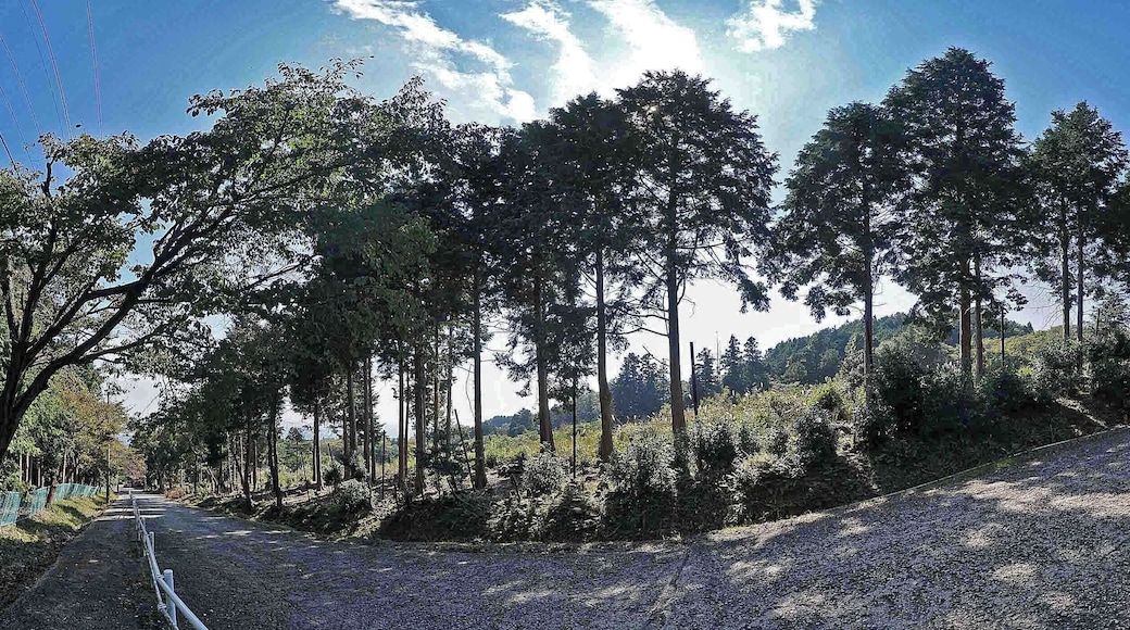 Fukuou shrine , 福王神社