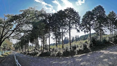 Fukuou shrine , 福王神社