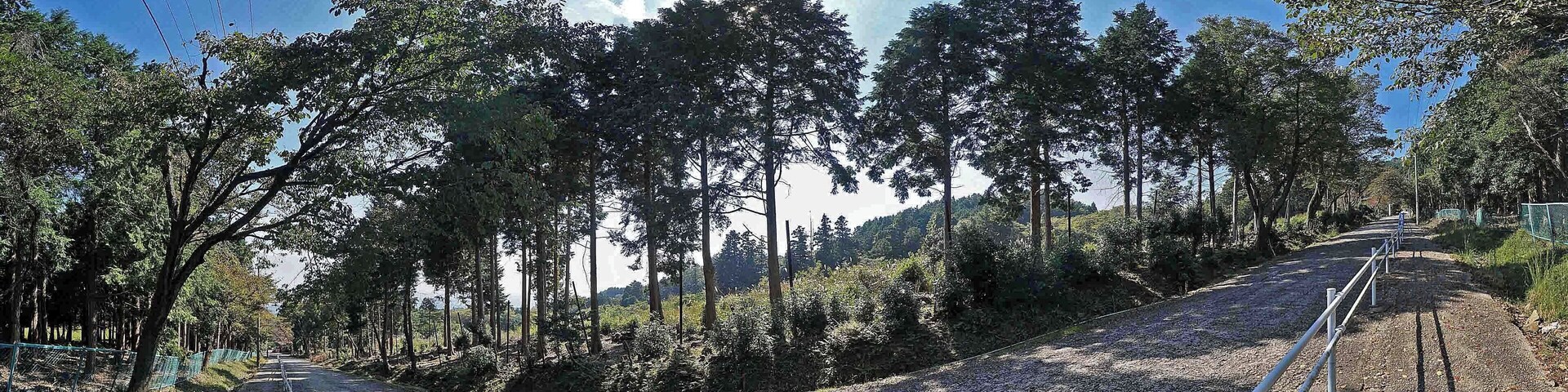 Fukuou shrine , 福王神社