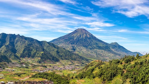 Sindoro Mountain, Central Java