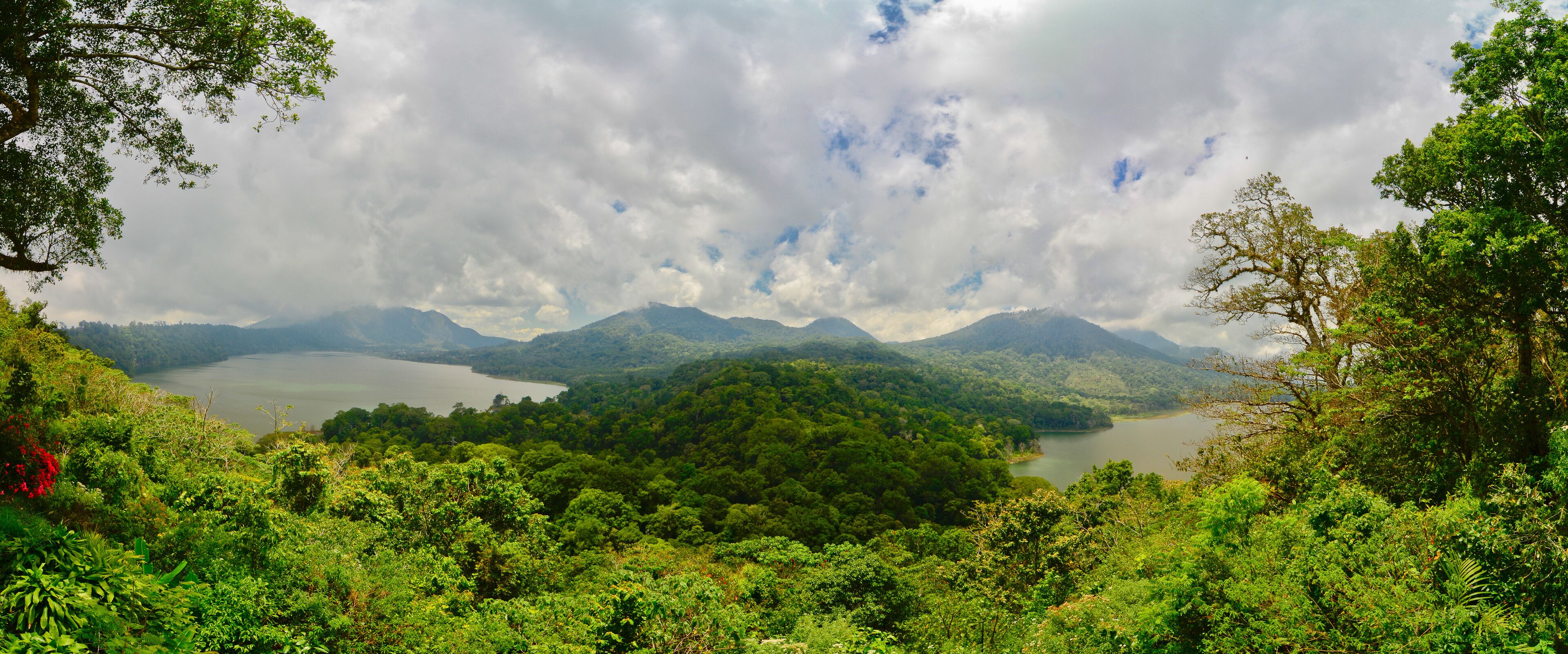 A lush green landscape with a lake surrounded by mountains and dense forest.