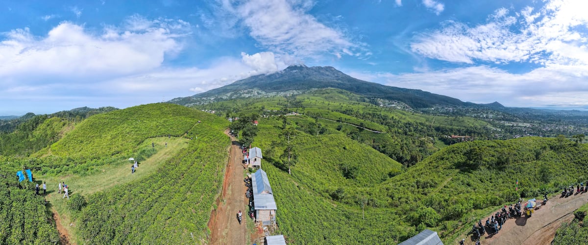 Aerial view of tea plantation in Kemuning, Indonesia with Lawu mountain background