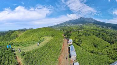 Aerial view of tea plantation in Kemuning, Indonesia with Lawu mountain background