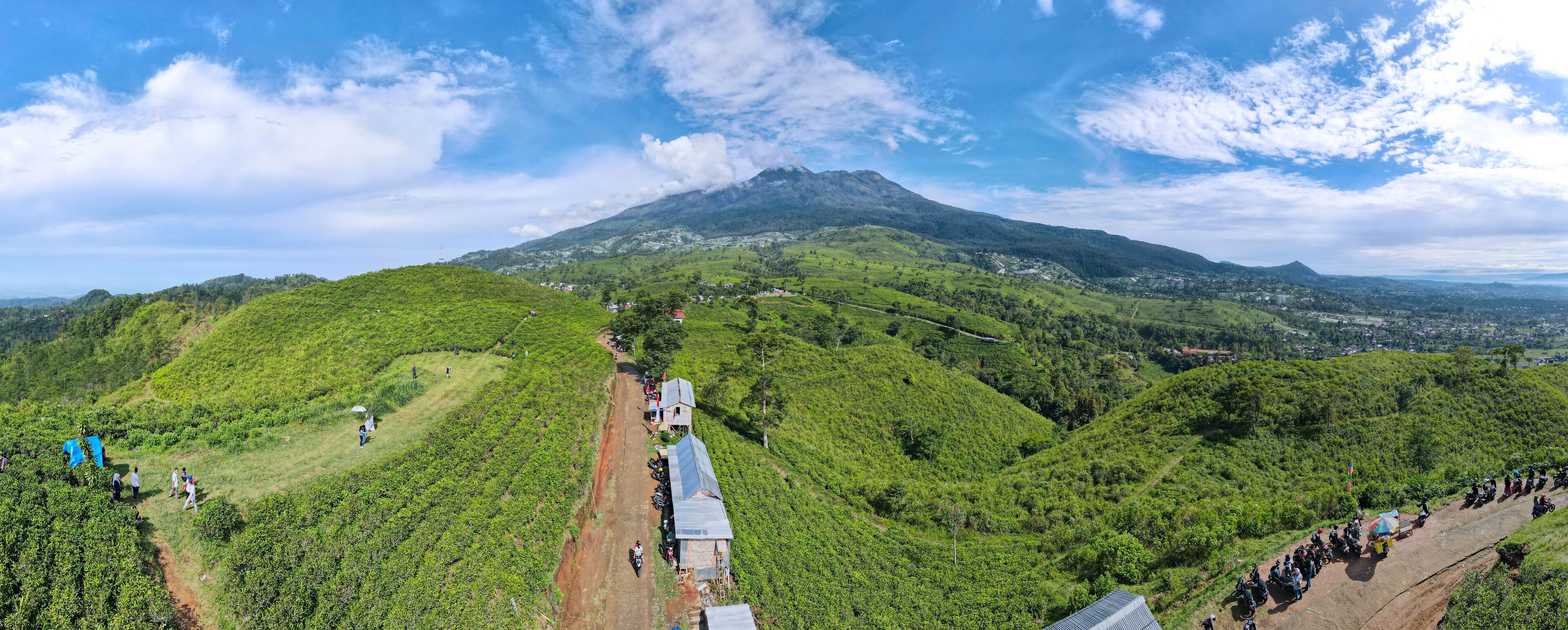 A lush green landscape with a mountain in the background, a dirt path, and a few buildings.