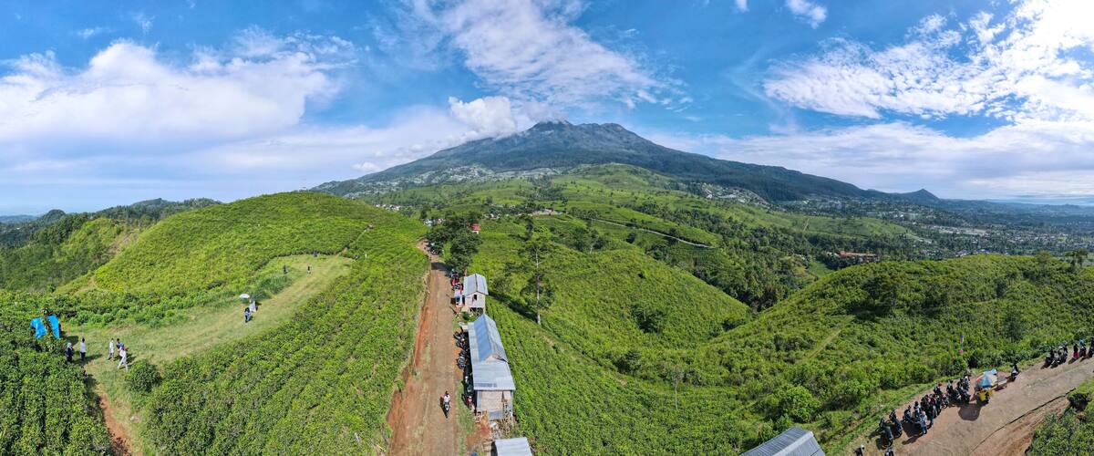 A lush green landscape with a mountain in the background, a dirt path, and a few buildings.
