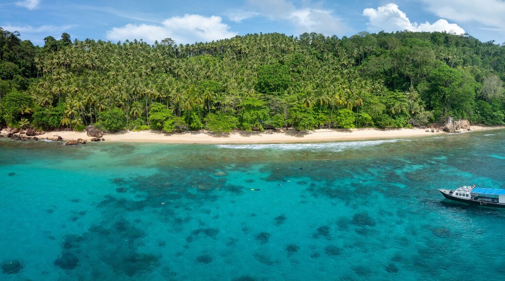 The scenic island of Bangka, just north of Sulawesi in Indonesia, is fringed by healthy coral reefs and mangroves. This area is part of the Coral Triangle and harbors astounding marine biodiversity.