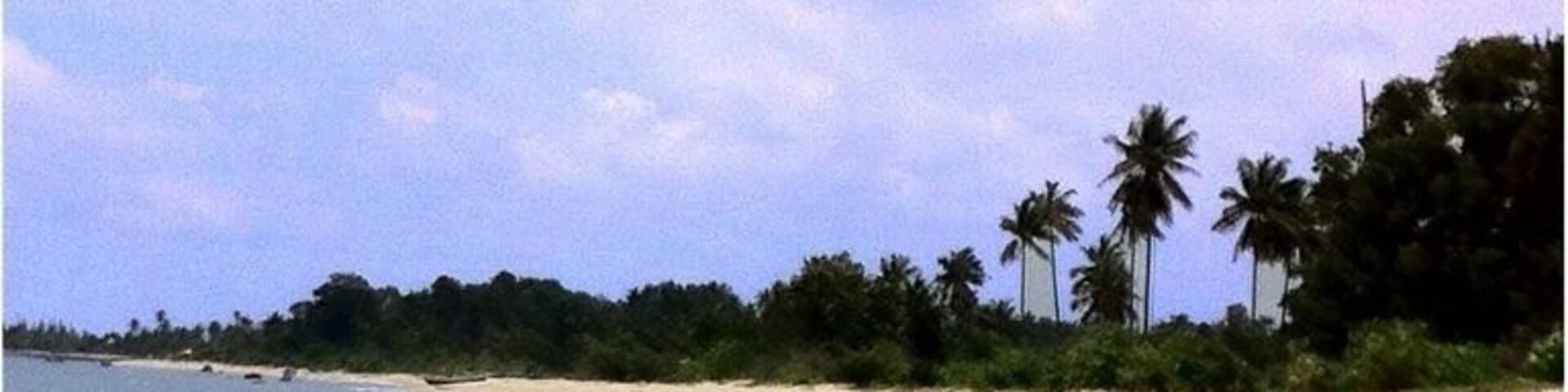 A sandy beach with gentle waves, palm trees, and a clear sky.