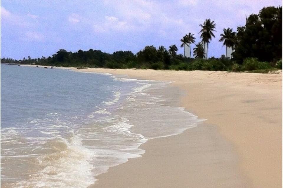 A sandy beach with gentle waves, palm trees, and a clear sky.