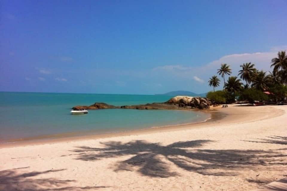 A beach with clear turquoise water, sandy shore, and palm trees.