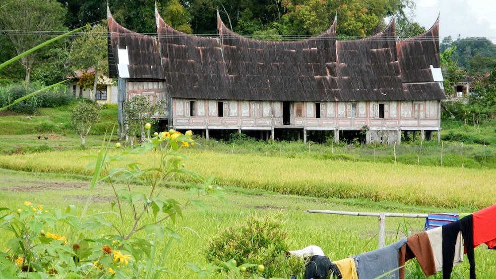 A traditional wooden house with a steeply pitched roof surrounded by a lush green field.