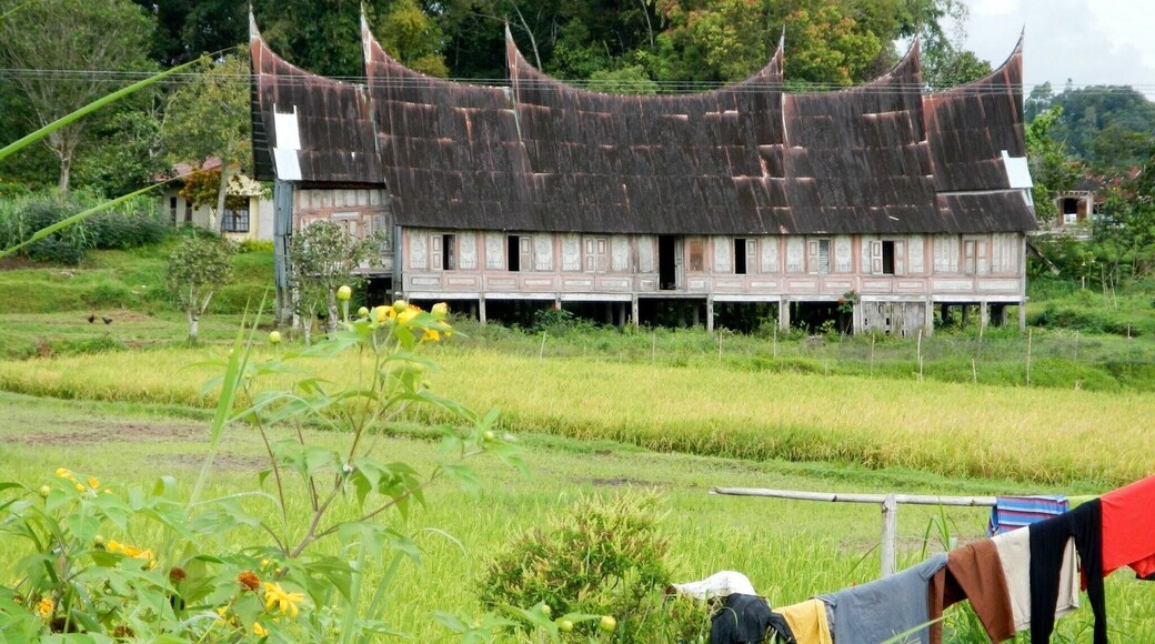 Abandoned traditional Minangkabau long house in West Sumatra.