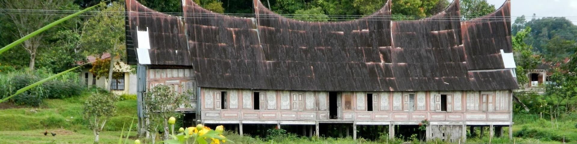A traditional wooden house with a steeply pitched roof surrounded by a lush green field.