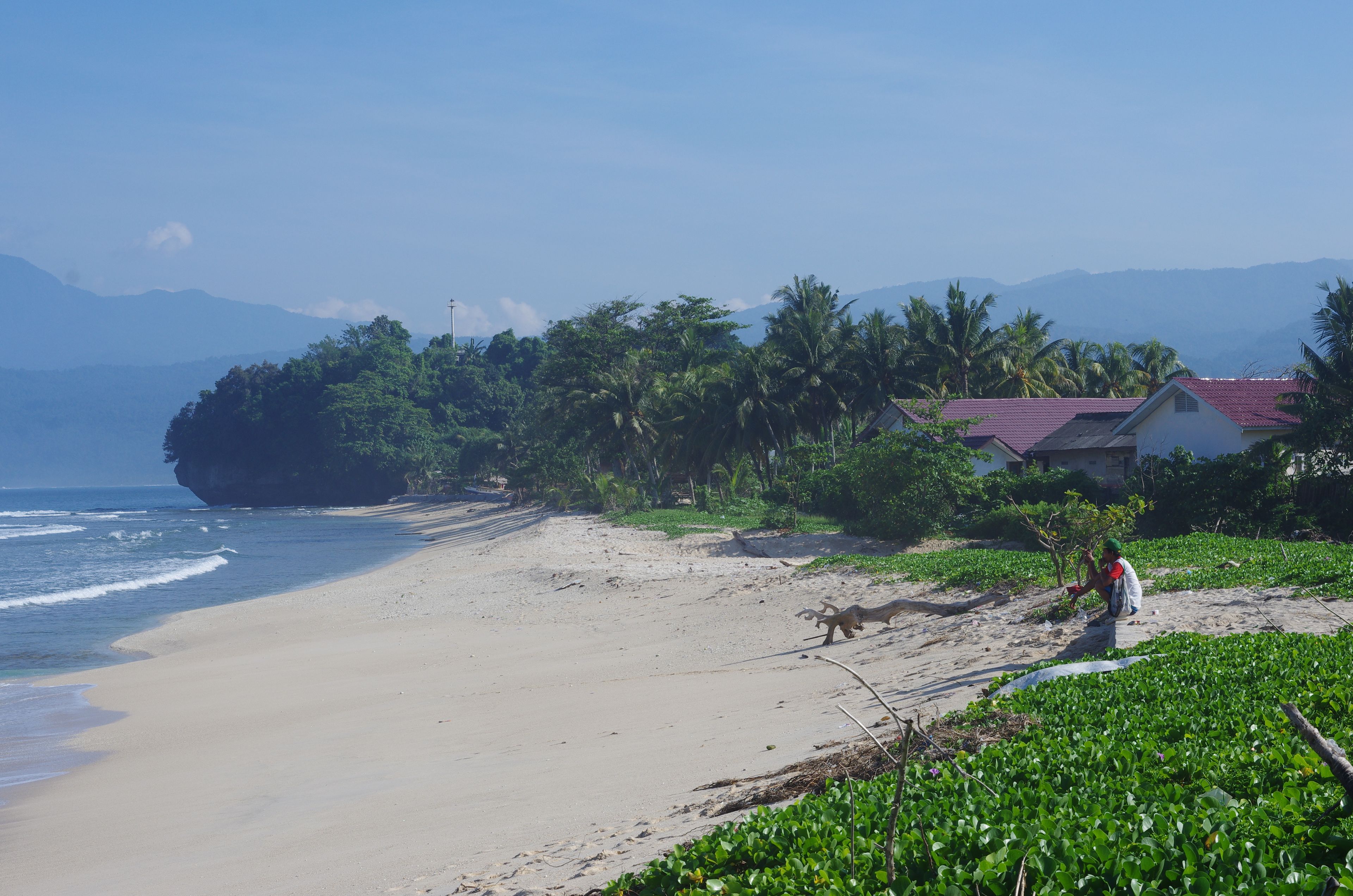 Une plage où l’on voit une personne en train de pêcher, des palmiers et des montagnes en arrière-plan.